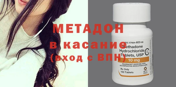 прущие грибы Новозыбков