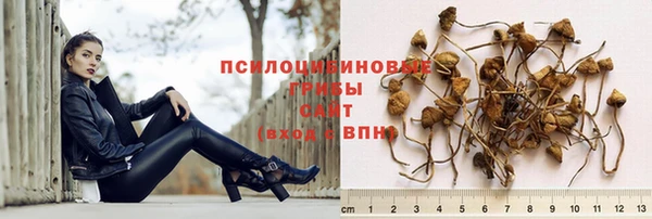 крисы Нея