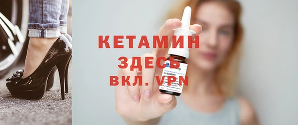 прущие грибы Новозыбков