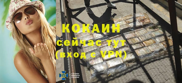 прущие грибы Новозыбков