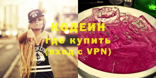 прущие грибы Новозыбков