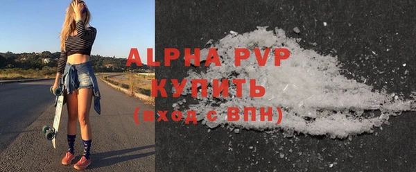 прущие грибы Новозыбков