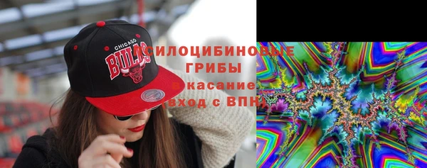 соль ск Новокубанск