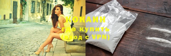 прущие грибы Новозыбков