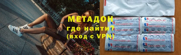 прущие грибы Новозыбков