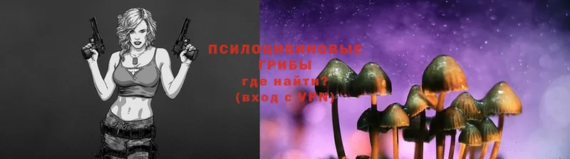 Псилоцибиновые грибы Psilocybe  нарко площадка как зайти  Лакинск 